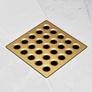 Ebbe America Champagne Gold Plastic and Stainless Steel Drain Cover 