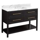 Signature Hardware Black 48 in. Floor Mount Vanity 