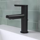PROFLO&reg; Matte Black Single Handle Bathroom Sink Faucet 