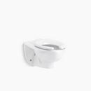 Elongated Wall Mount Bowl Toilet in White