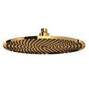 Single Function Showerhead in English Gold