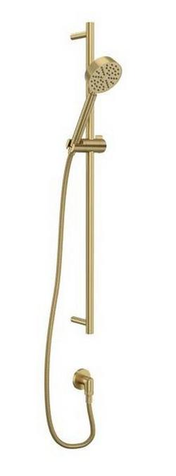 Single Function Hand Shower in Antique Gold