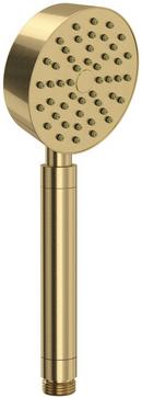 Single Function Hand Shower in Antique Gold
