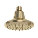 Multi Function Showerhead in Antique Gold