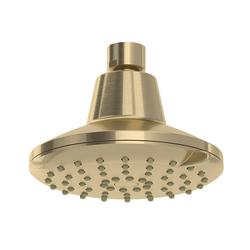 Multi Function Showerhead in Antique Gold