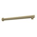 1/2 x 15-23/32 in. FNPT x Male Brass Shower Arm in Antique Gold