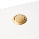 Flush Actuator Button in Gold
