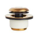 Signature Hardware Brushed Gold Brass Toe-Tap Drain 