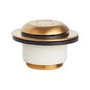 Signature Hardware Brushed Gold Brass Toe-Tap Drain 