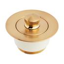 Signature Hardware Brushed Gold Lift & Turn Drain 