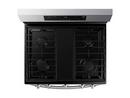Samsung Stainless Steel 29-15/16 in. 6 cu. ft. 5-Burner Sealed Freestanding Range 