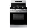 Samsung Stainless Steel 29-15/16 in. 6 cu. ft. 5-Burner Sealed Freestanding Range 