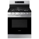 Samsung Stainless Steel 29-15/16 in. 6 cu. ft. 5-Burner Sealed Freestanding Range 