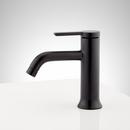 Signature Hardware Matte Black Single Handle Monoblock Bathroom Sink Faucet 