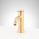 Signature Hardware Brushed Gold Single Handle Monoblock Bathroom Sink Faucet 