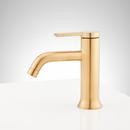 Signature Hardware Brushed Gold Single Handle Monoblock Bathroom Sink Faucet 