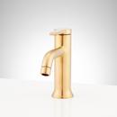 Single Handle Monoblock Bathroom Sink Faucet in Brushed Gold