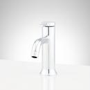 Signature Hardware Chrome Single Handle Monoblock Bathroom Sink Faucet 