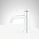 Signature Hardware Chrome Single Handle Monoblock Bathroom Sink Faucet 