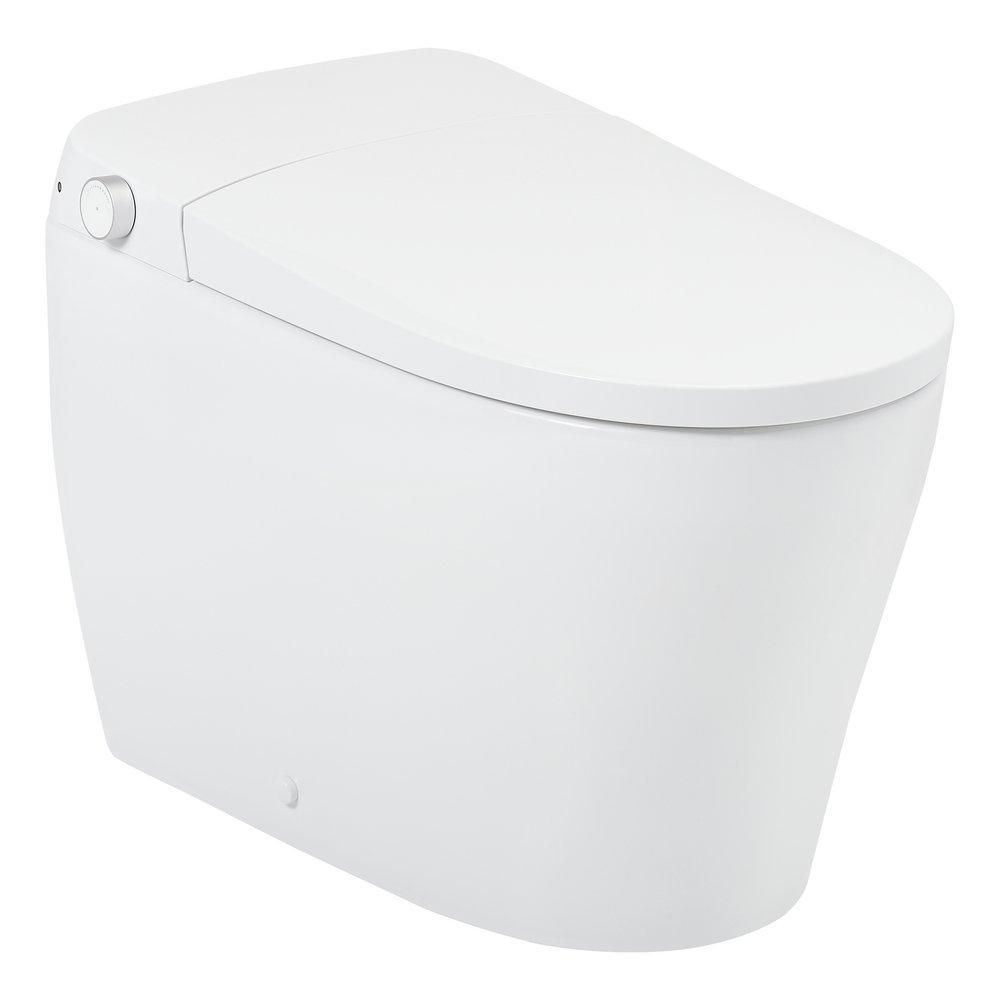 1.0 gpf Elongated One Piece Toilet in White - Bidet Seat Included 