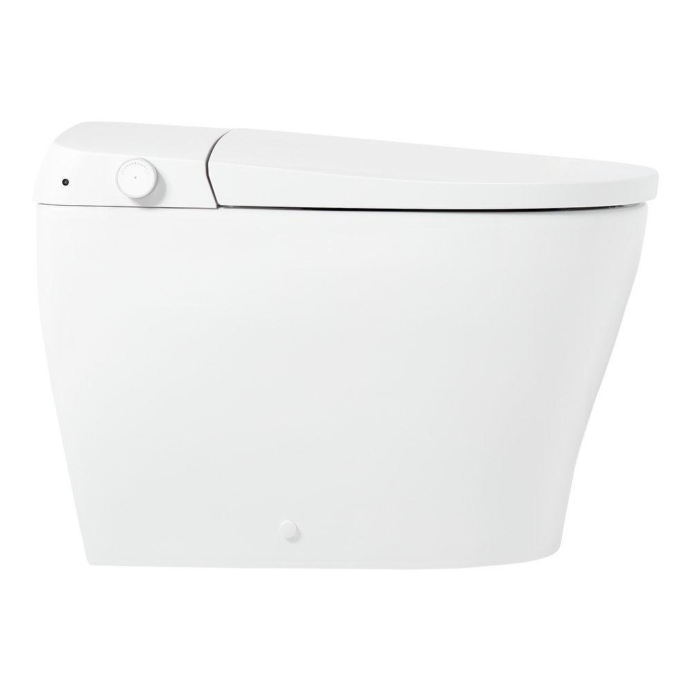 1.0 gpf Elongated One Piece Toilet in White - Bidet Seat Included 