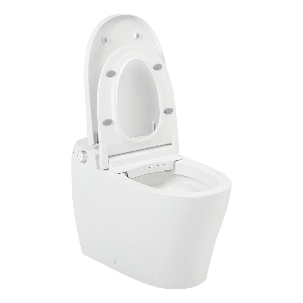 1.0 gpf Elongated One Piece Toilet in White - Bidet Seat Included 