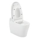 1.0 gpf Elongated One Piece Toilet in White - Bidet Seat Included 