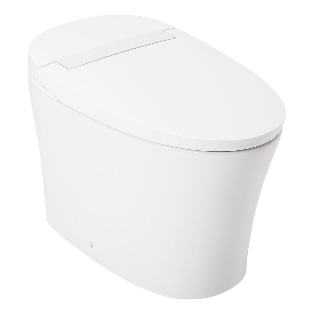1.28 gpf Elongated One Piece Toilet in White 