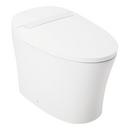 1.28 gpf Elongated One Piece Toilet in White 