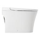 1.28 gpf Elongated One Piece Toilet in White 
