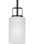 100W 1-Light Medium E-26 Incandescent Pendant Light in Matte Black