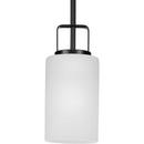 Progress Lighting Matte Black 100W 1-Light Medium E-26 Incandescent Pendant Light 