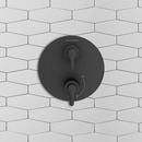 American Standard Matte Black Two Handle Multi Function Bathtub & Shower Faucet (Trim Only) 