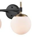 2-Light Vanity Fixture in Matte Black/Modern Gold 