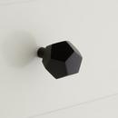 Signature Hardware Matte Black Brass Pentagon Knob 