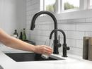 Delta Faucet Matte Black Cold Water Dispenser 