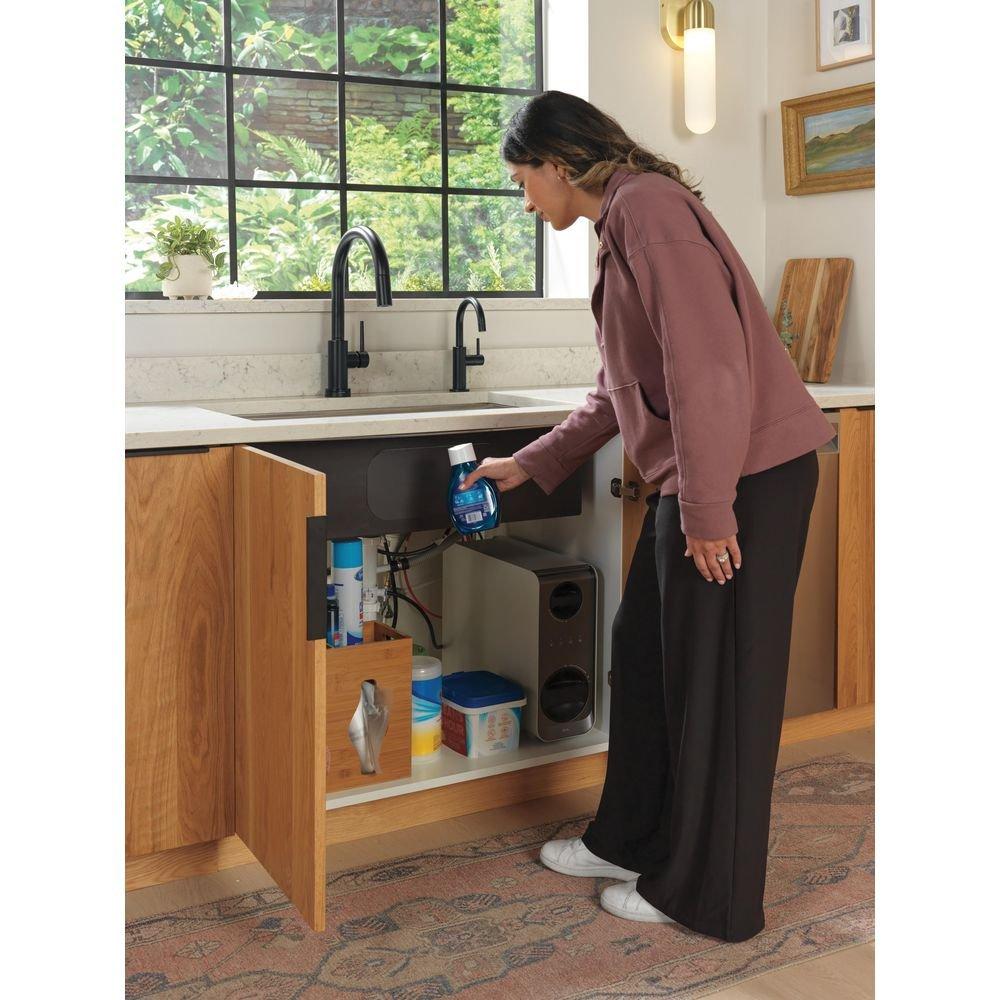 Delta Faucet Matte Black Cold Water Dispenser 