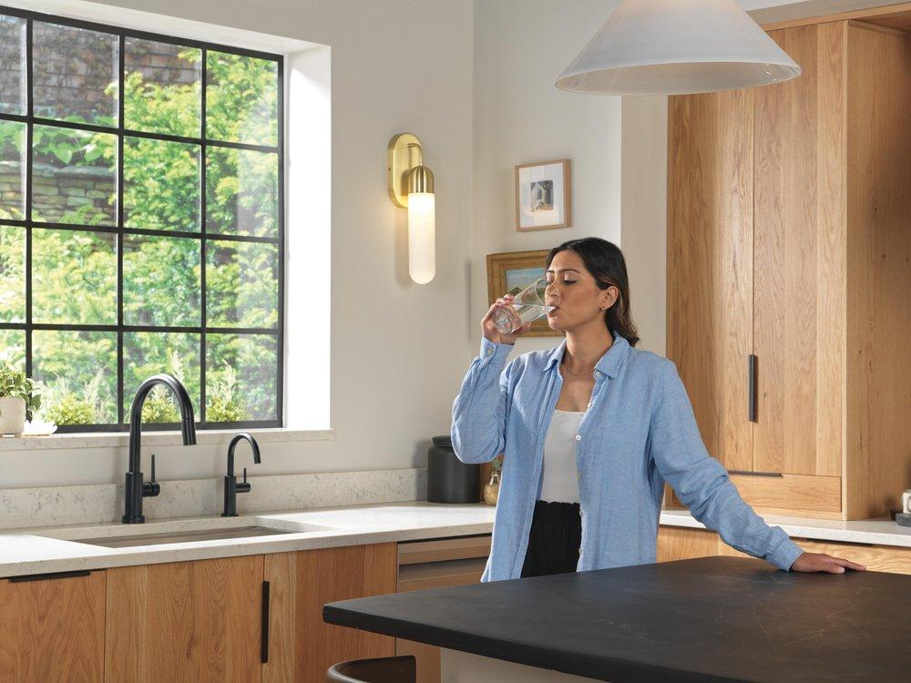 Delta Faucet Matte Black Cold Water Dispenser 