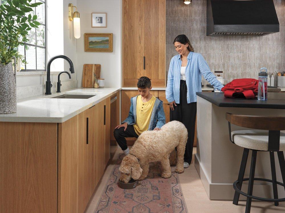 Delta Faucet Matte Black Cold Water Dispenser 