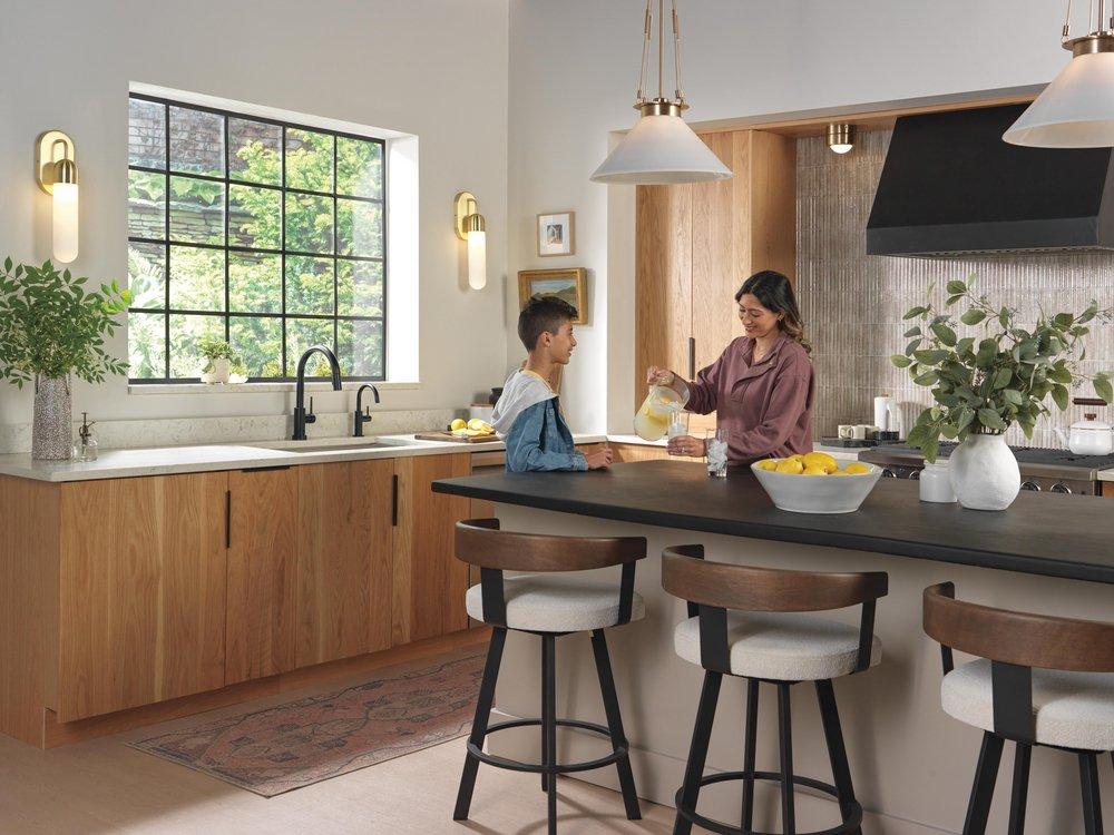 Delta Faucet Matte Black Cold Water Dispenser 