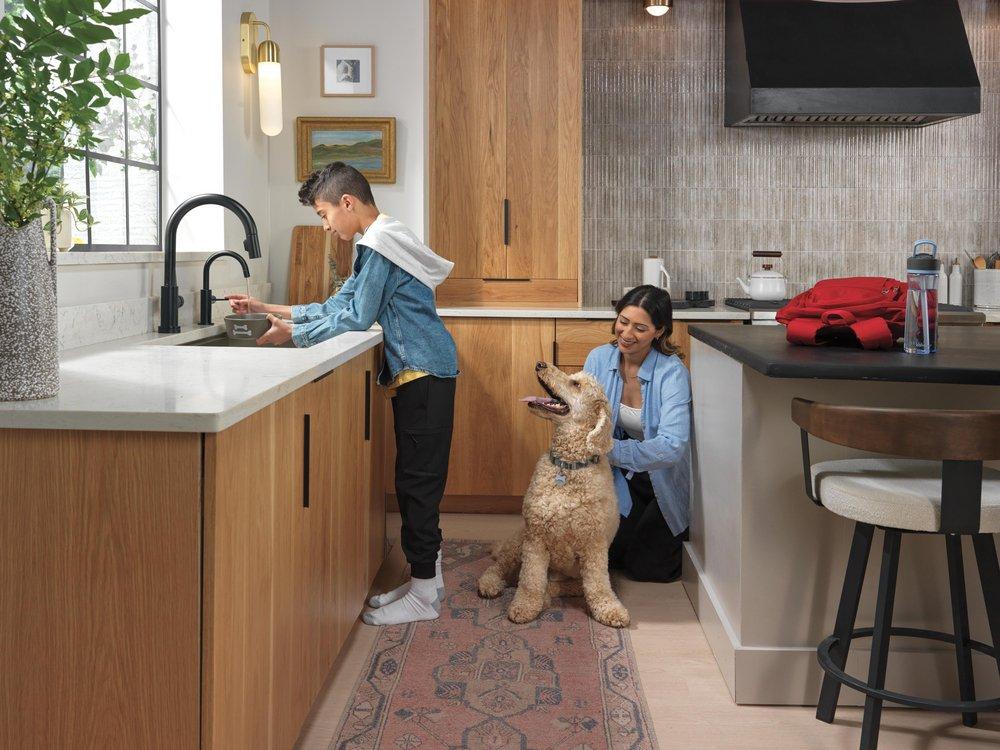 Delta Faucet Matte Black Cold Water Dispenser 