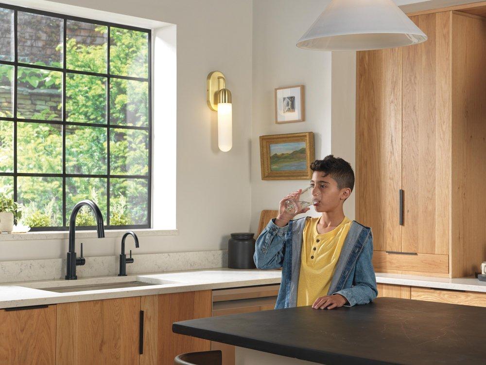 Delta Faucet Matte Black Cold Water Dispenser 