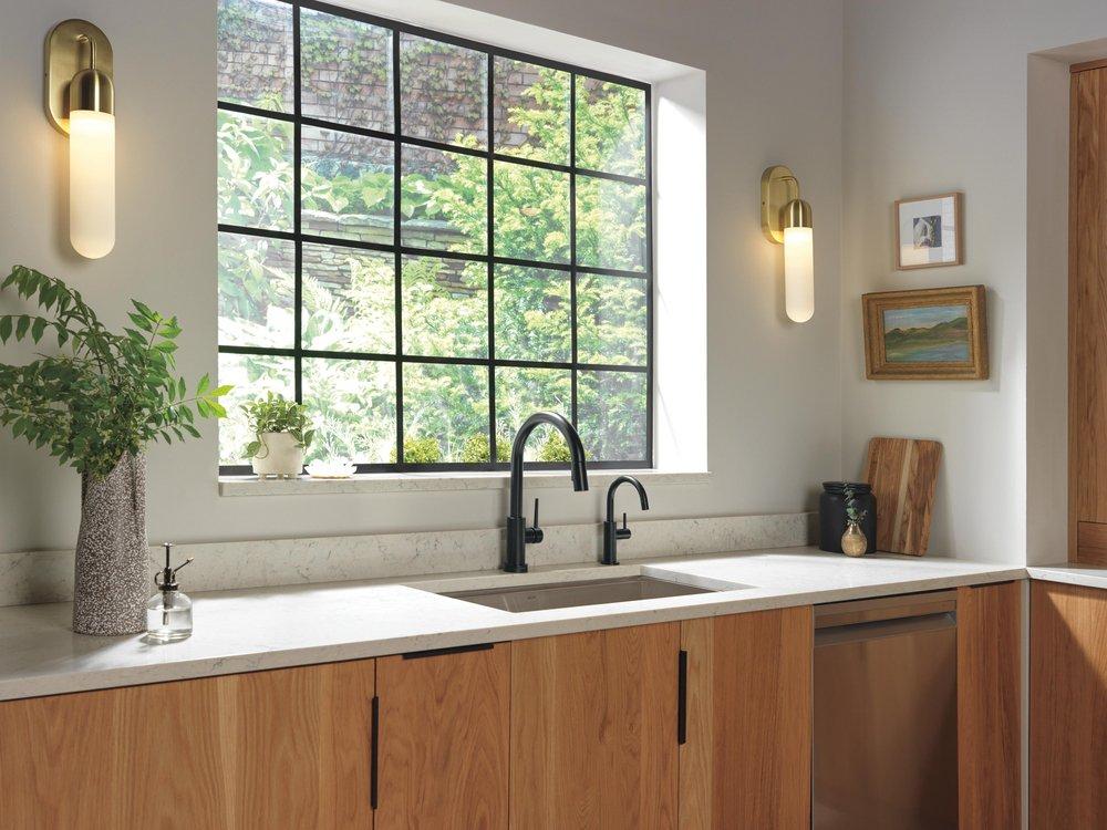 Delta Faucet Matte Black Cold Water Dispenser 