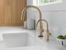 Delta Faucet Champagne Bronze Cold Water Dispenser 
