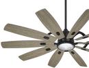 Minka Aire Coal 65 in. 10-Blade Indoor/Outdoor Ceiling Fan 