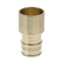 Jones Stephens Brass F1960 x Female Sweat Brass Straight, Adapter 