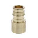 Jones Stephens Brass F1960 x Female Sweat Brass Straight, Adapter 