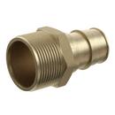 1/2 in. Brass PEX Expansion x 1/2 in. MPT Adapter