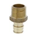 Jones Stephens Brass Brass PEX Expansion x MPT Adapter 