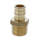 Jones Stephens Brass Brass PEX Expansion x MPT Adapter 